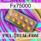 Fx75000 new11